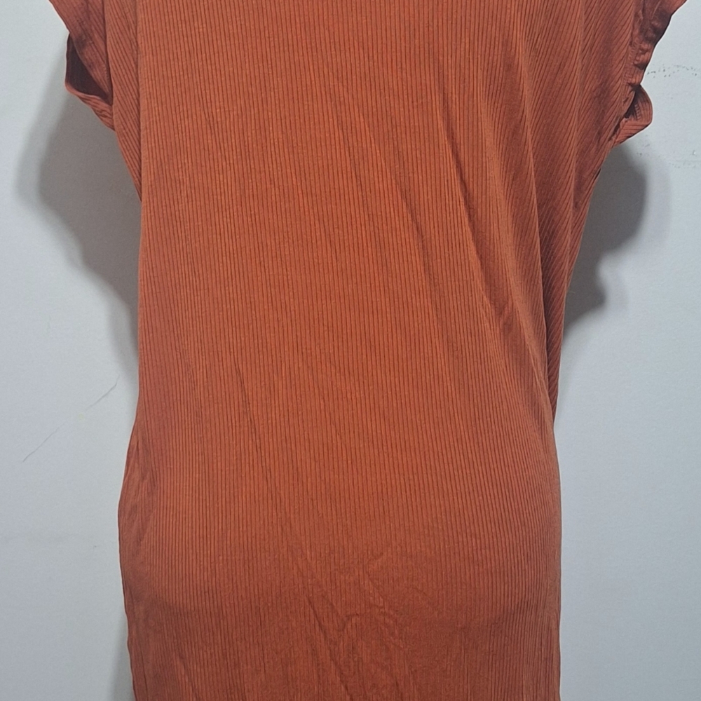 Lrg Rust Orange V-Neck Dress - Picture 5 of 5